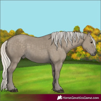 Horse Color:Silver Smoky Grullo 
