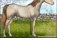 Horse Color:Smoky Blue Roan Pearl 