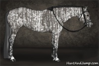 Horse Color:White Spotted Black Rabicano  and Grullo Roan Rabicano 