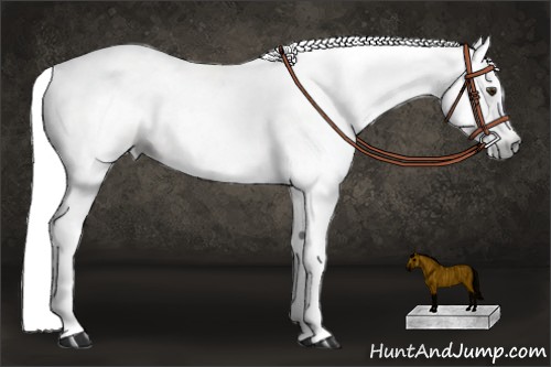 Horse Color:Gray Red Dun Splash  and Red Dun Splash 