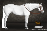 Horse Color:Gray Red Dun Splash  and Red Dun Splash 