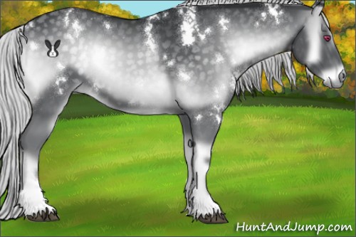 Horse Color:White Spotted Silver Blue Onyx Chinchilla 
