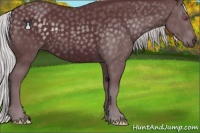 Horse Color:Chocolate Silver Black Chinchilla 