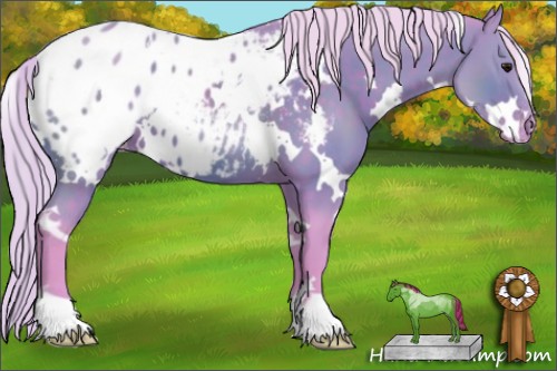 Horse Color:Watercolor White Spotted Silver Brown Blanket 