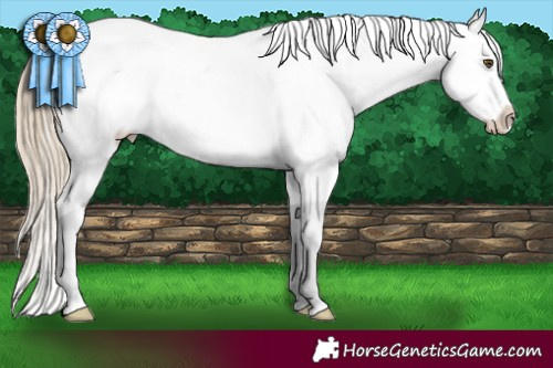 Horse Color:Chocolate Palomino Dun Mushroom Snowflake Varnish