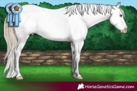 Horse Color:Chocolate Palomino Dun Mushroom Snowflake Varnish