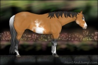Horse Color:White Spotted Bay Splash Frame 