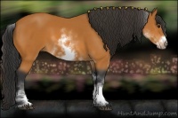 Horse Color:White Spotted Bay Frame 