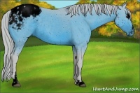 Horse Color:ERROR: UNKNOWN ANOMALY