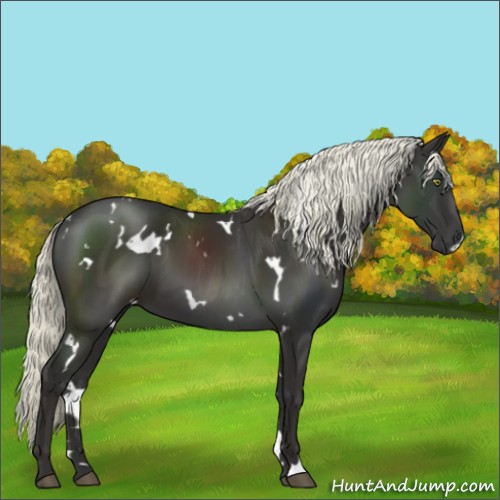 Horse Color:White Spotted Liver Chestnut Mushroom 