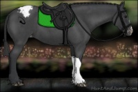 Horse Color:Blue Roan Varnish