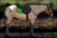 Horse Color:Bay Roan Appaloosa 