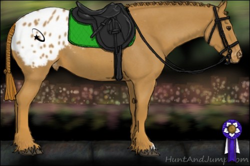 Horse Color:Red Roan Varnish 