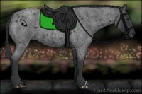 Horse Color:Blue Roan 