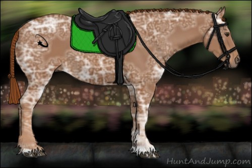 Horse Color:Chestnut Ice 