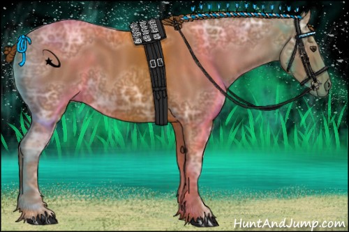 Horse Color:Chestnut Ice 