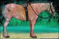 Horse Color:Chestnut Ice 