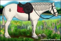 Horse Color:Perlino Dun