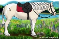 Horse Color:Cremello Tobiano Rabicano