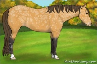 Horse Color:Buckskin Ice Roan Varnish