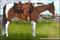 Horse Color:Bay Splash Tobiano