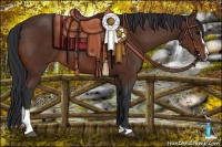 Horse Color:Brown Sabino 