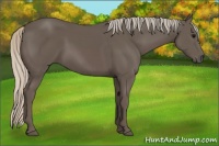 Horse Color:Silver Black 
