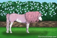 Horse Color:Watercolor Red Roan Splash