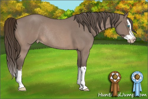 Horse Color:Gray Perlino Roan Splash Rabicano 