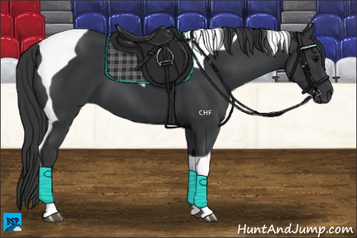 Horse Color:Black Tobiano 