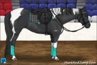 Horse Color:Black Tobiano 