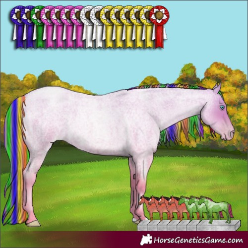 Horse Color:Painted Buckskin Roan Pearl 