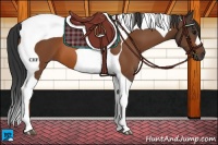 Horse Color:Brown Tobiano 
