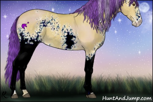 Horse Color:Watercolor White Spotted Buckskin Dun