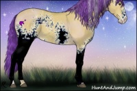 Horse Color:Watercolor White Spotted Buckskin Dun 