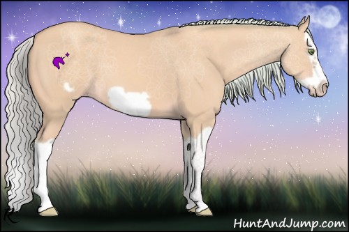 Horse Color:Watercolor Silver Amber Champagne Dun Splash Frame