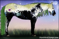 Horse Color:Watercolor White Spotted Bay Dun 