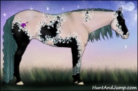 Horse Color:Watercolor White Spotted Bay Dun 