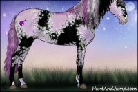 Horse Color:Watercolor White Spotted Red Dun