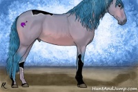 Horse Color:Watercolor Bay Dun Sabino Tobiano