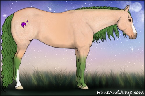 Horse Color:Watercolor Buckskin Dun