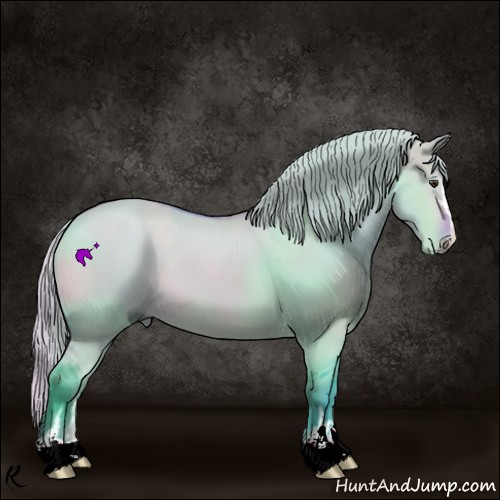 Horse Color:Watercolor Silver Bay Dun Sabino