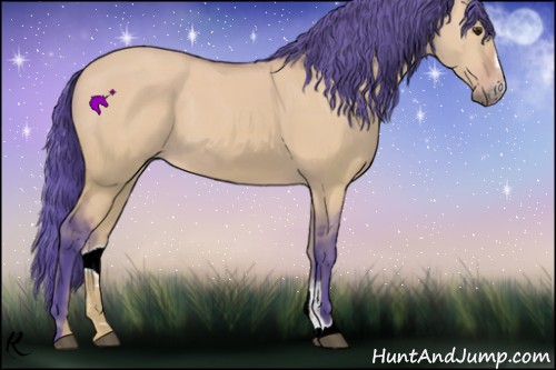 Horse Color:Watercolor Buckskin Dun Sabino