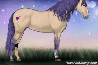 Horse Color:Watercolor Buckskin Dun Sabino 