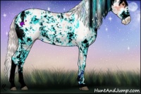 Horse Color:Watercolor Palomino Dun Sabino 