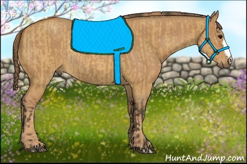 Horse Color:Bay Roan Dun Rabicano  and Red Roan Rabicano 