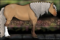 Horse Color:Silver Bay Dun 