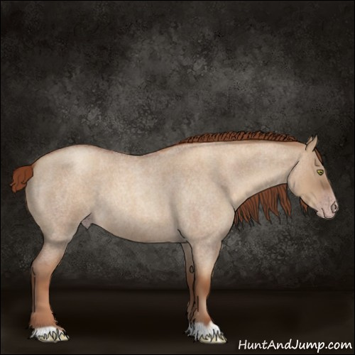 Horse Color:Gray Gold Champagne Roan Dun 