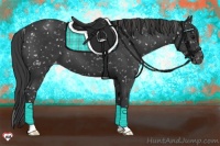 Horse Color:Black Appaloosa 