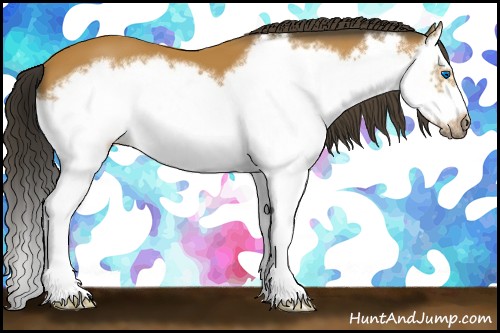 Horse Color:Bay Splash Frame